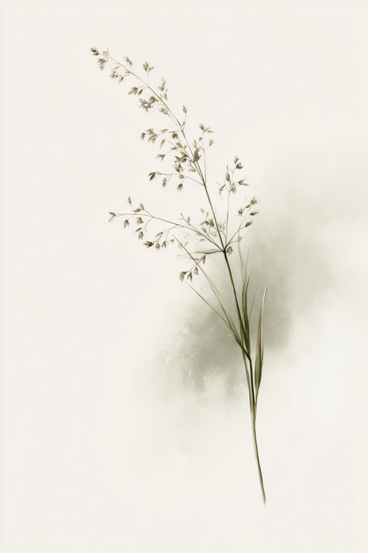 Delicate Stem minimal botanical wall art print by Daisy & Co
